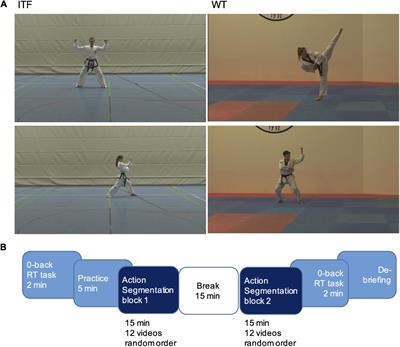 Shared Representations in Athletes: Segmenting Action Sequences From Taekwondo Reveals Implicit Agreement